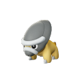 Shieldon